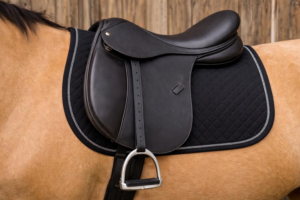 GEZOCHT- oud zadel met stijgbeugels- decoratie, Dieren en Toebehoren, Ophalen, Gebruikt, Recreatie