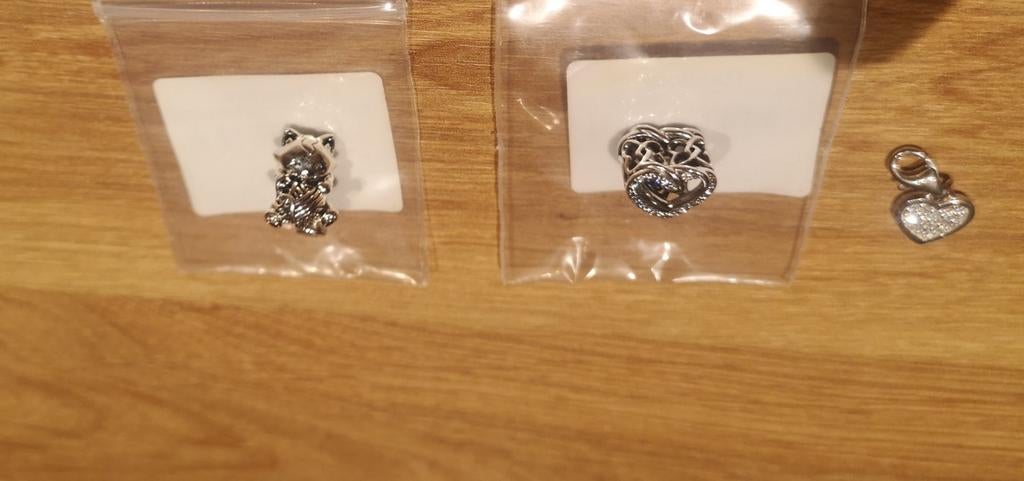 Pandora bedels voor armband, Sieraden, Tassen en Uiterlijk, Oorbellen, Nieuw, Zilver, Zilver, Ophalen