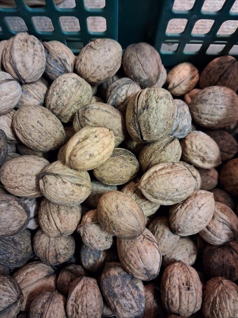 Walnoten onbespoten, Diversen, Levensmiddelen, Ophalen