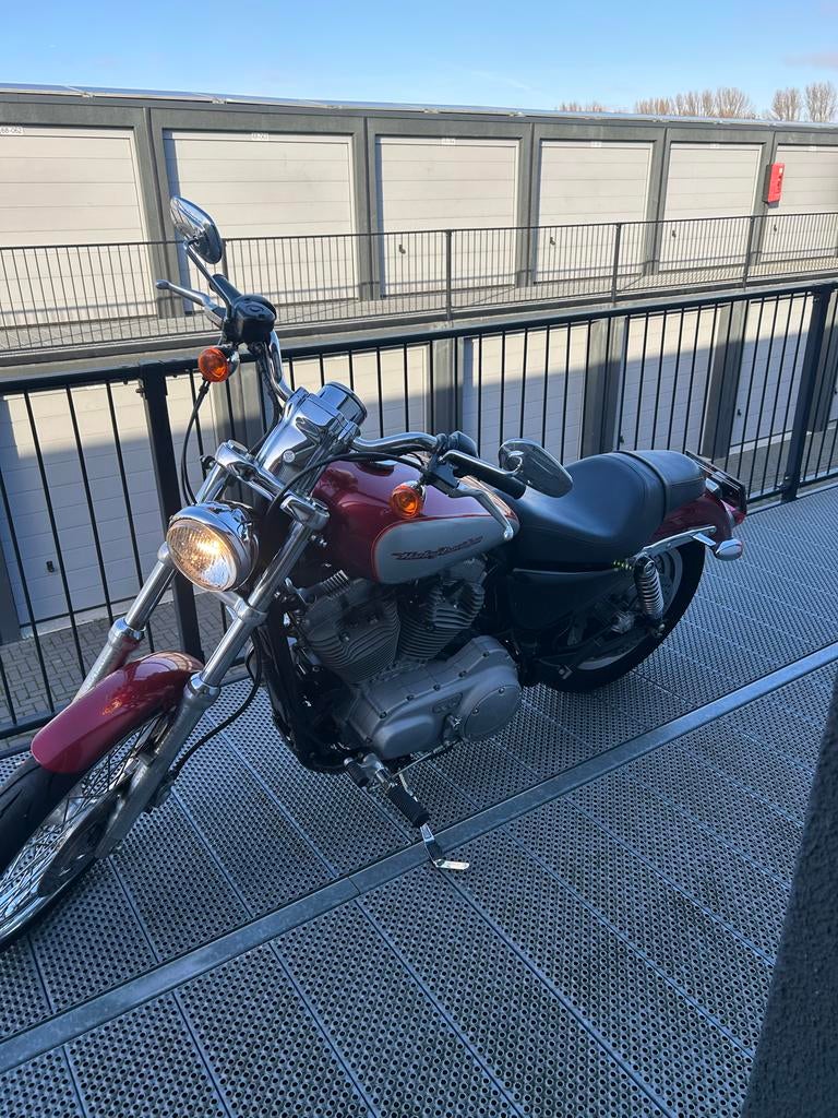 Harley Davidson XL 53C Custom - 2004 - 17.000km, 2 cilinders, Chopper, 883 cc, Particulier