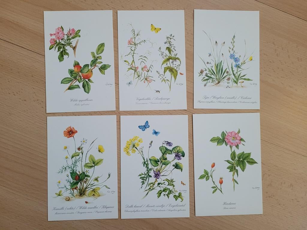 6x Ansichtkaart Knorr Tia Worm - Wiegman kruiden bloemen, Verzamelen, Ophalen of Verzenden, 1980 tot heden, Ongelopen, Natuur