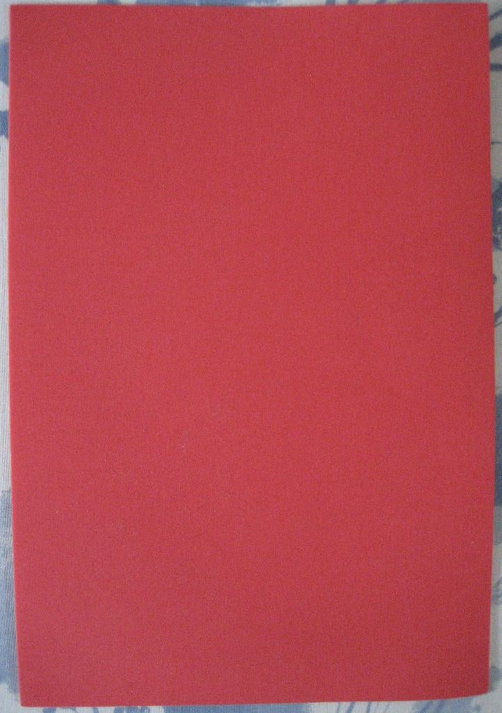 A4 vel knutsel foam rood., Ophalen of Verzenden, Zo goed als nieuw