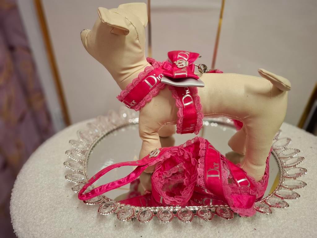 Tuigje met looplijn, Ophalen of Verzenden, Nieuw