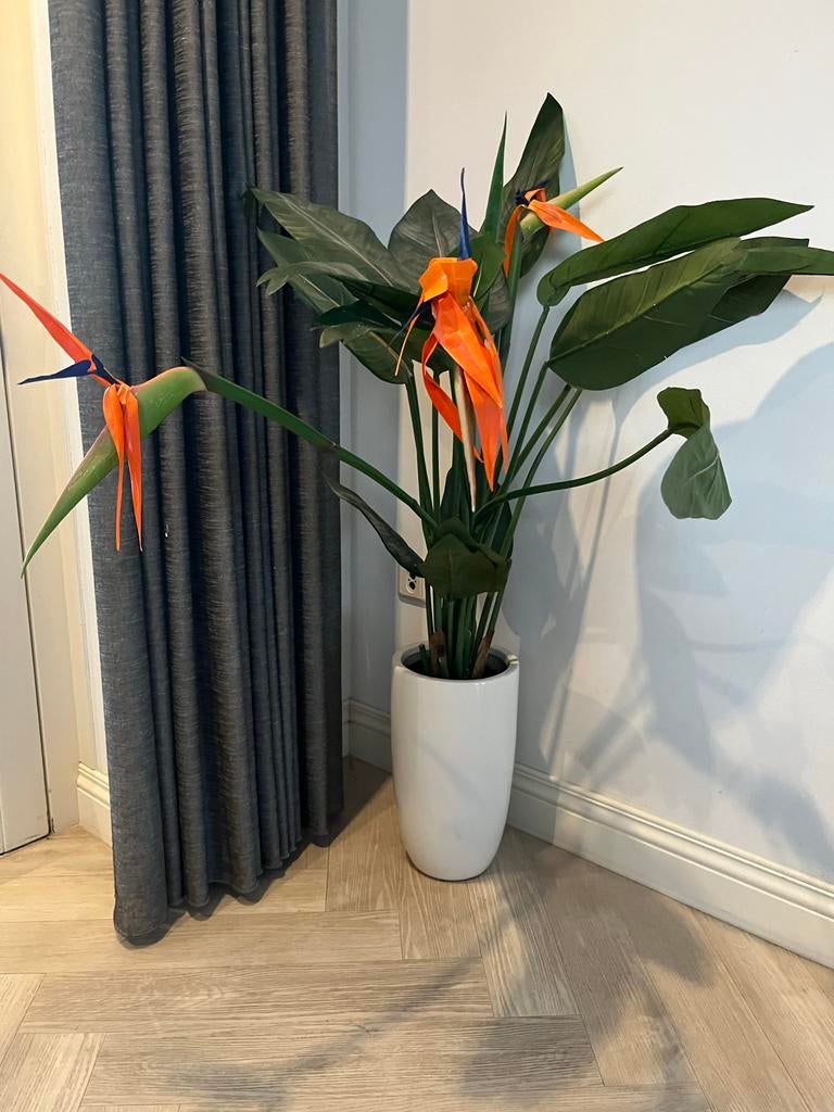 Prachtige Kunst Strelitzia - Paradijsvogelbloem, Huis en Inrichting, Overige soorten, In pot, Minder dan 100 cm, Bloeiende kamerplant
