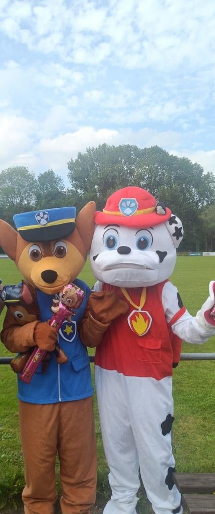 Te huur chase en Marshall!, Ophalen, Overige