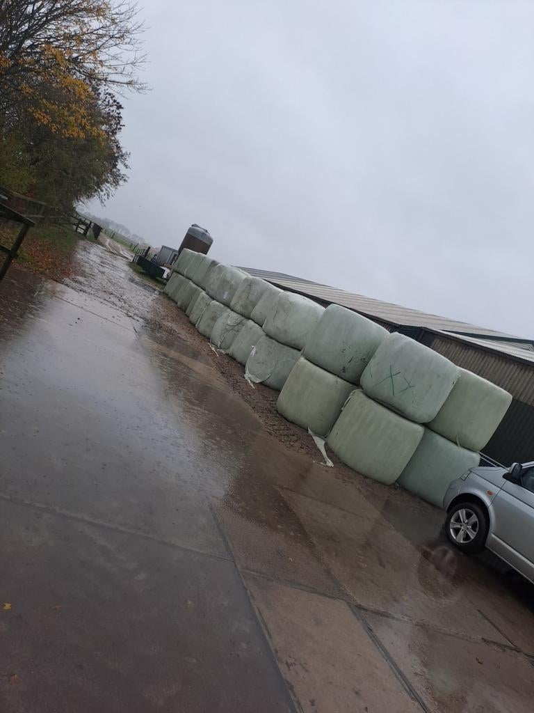 hooi te koop paard koe geit schaap, Zakelijke goederen, Agrarisch | Veevoer, Ophalen of Verzenden