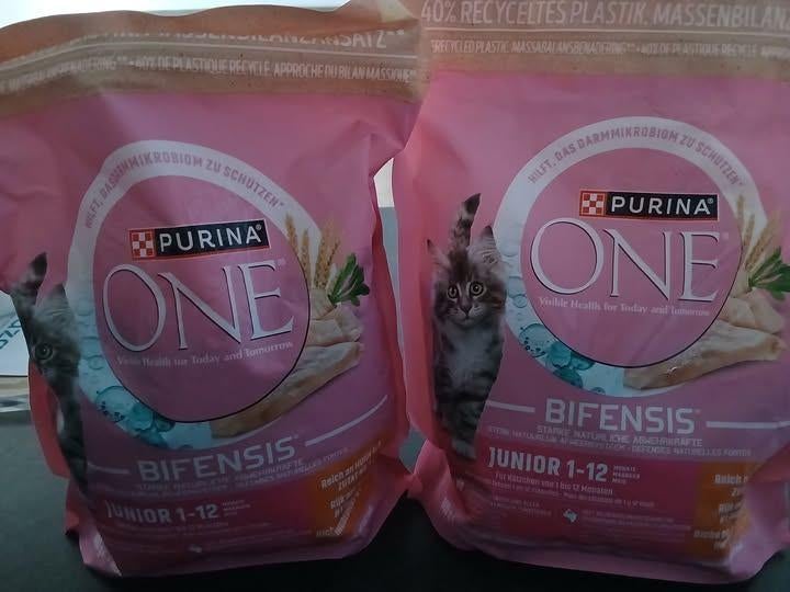 Kitten brokken, Dieren en Toebehoren, Ophalen, Kat