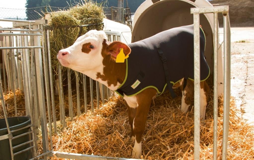 Kalverdekje Thermo Plus  70 of 80 cm, Dieren en Toebehoren, Overige Dieren-accessoires, Nieuw, Ophalen of Verzenden