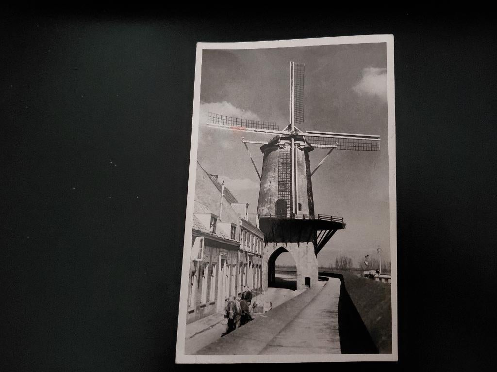 Molen van Ruysdael, Wijk bij Duurstede, gelopen, fotokaart., Verzenden, 1940 tot 1960, Gelopen, Gebouw