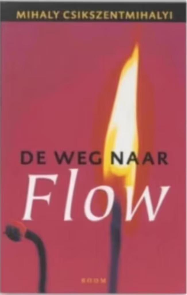 De Weg Naar Flow, Ophalen of Verzenden, Zo goed als nieuw
