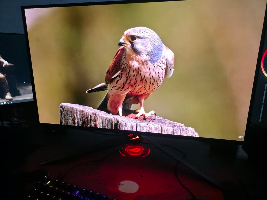 Asus ROG Swift PG32UCDMR QD-OLED 240HZ, Computers en Software, Monitoren, Overige typen, 201 Hz of meer, Minder dan 1 ms, Ophalen of Verzenden