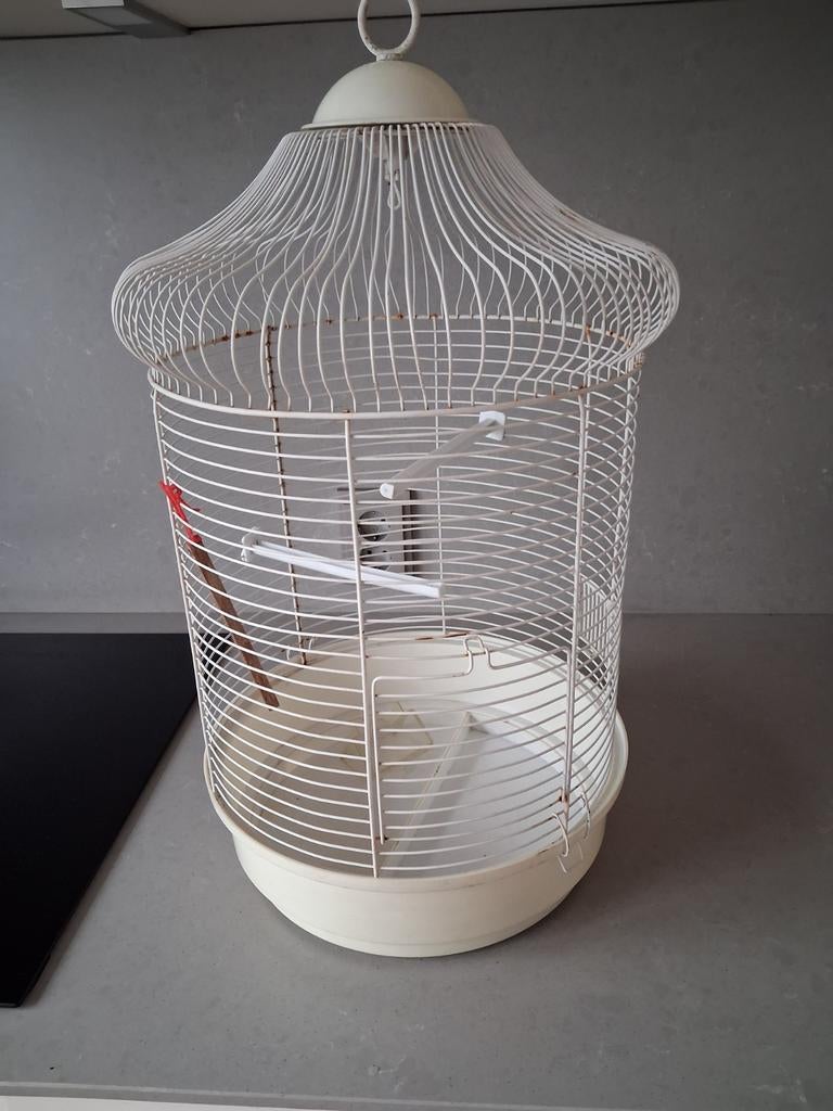 Een vogel kooi voor kleine vogels, Dieren en Toebehoren, Ophalen of Verzenden, Metaal, Vogelkooi