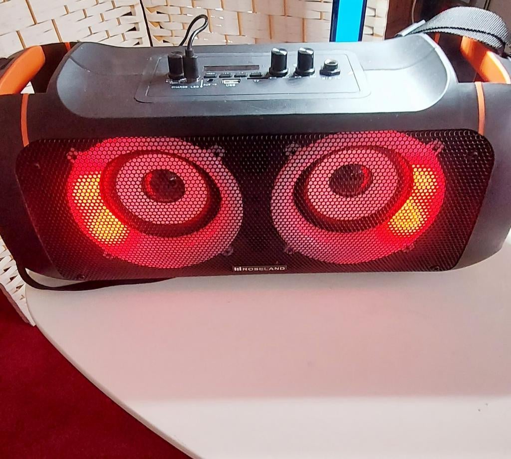 Roseland Party Speaker RS-500, Ophalen of Verzenden, Minder dan 60 watt, Overige typen, Overige merken