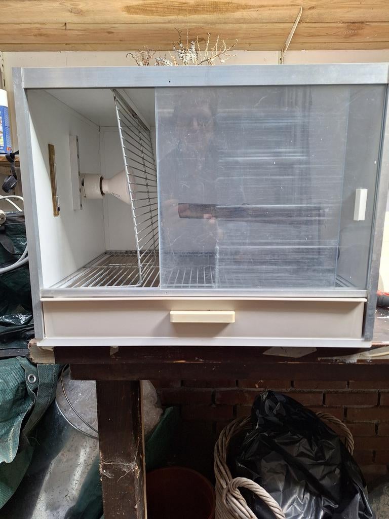 Zieke boeg ,voor vogels, Meerdere dieren