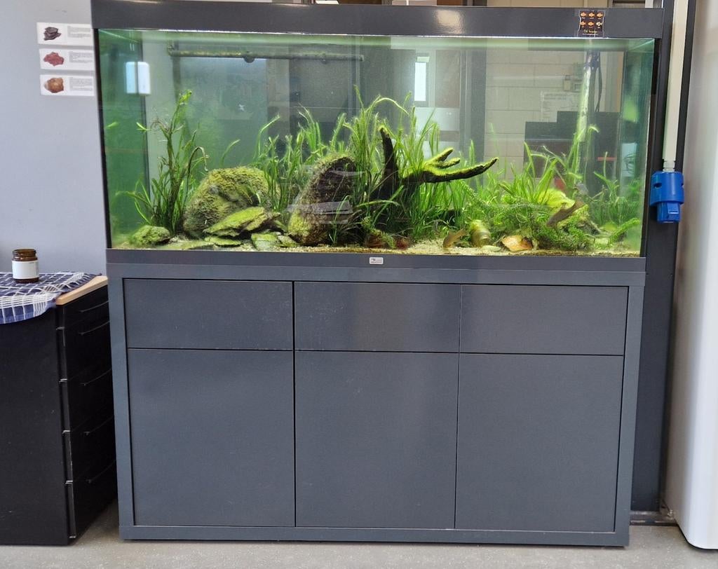 Aqualantis aquarium 150x50 (500 liter), Dieren en Toebehoren, Vissen | Aquaria en Toebehoren, Leeg aquarium, Ophalen