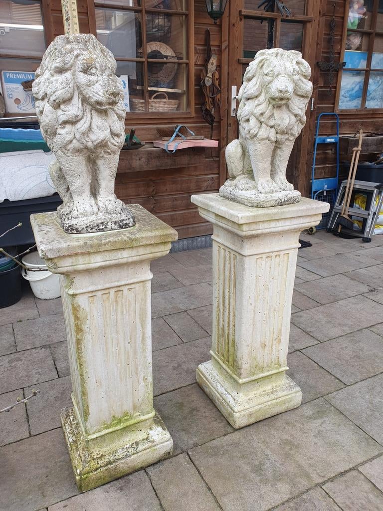 Set leeuwen op sokkel    € 95,=, Ophalen