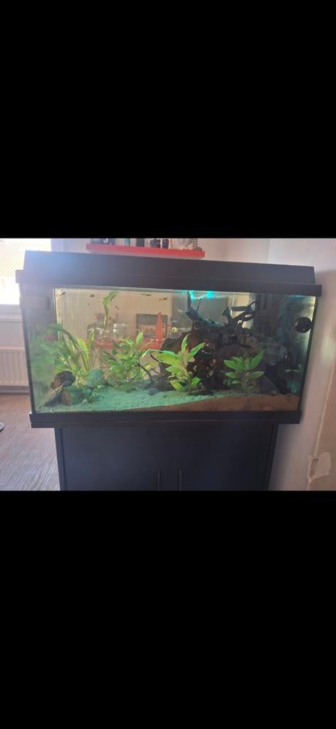 Juwel primo 110, Ophalen, Gebruikt, Leeg aquarium