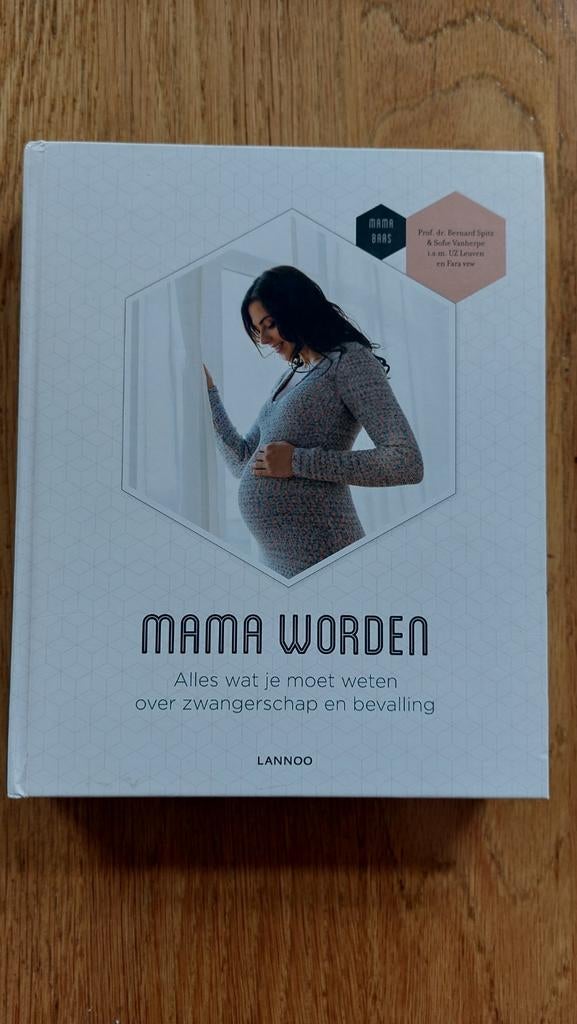 Mama worden. Boek over zwangerschap, Boeken, Ophalen of Verzenden, Zo goed als nieuw, Zwangerschap en Bevalling