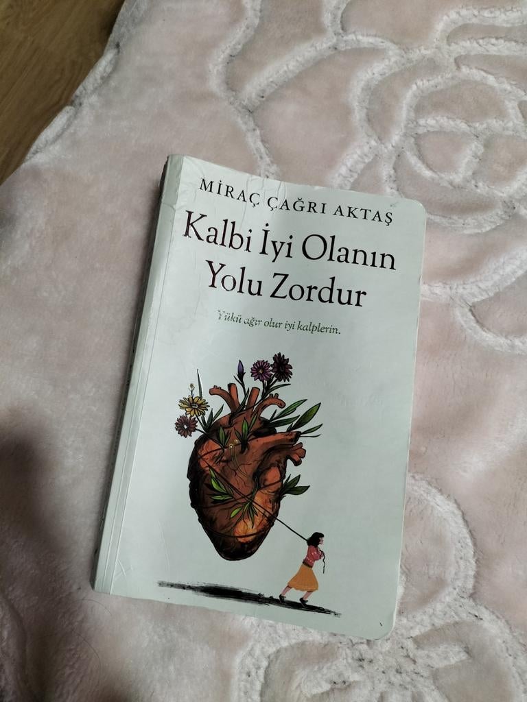 Turkse boek, Ophalen of Verzenden, Gelezen