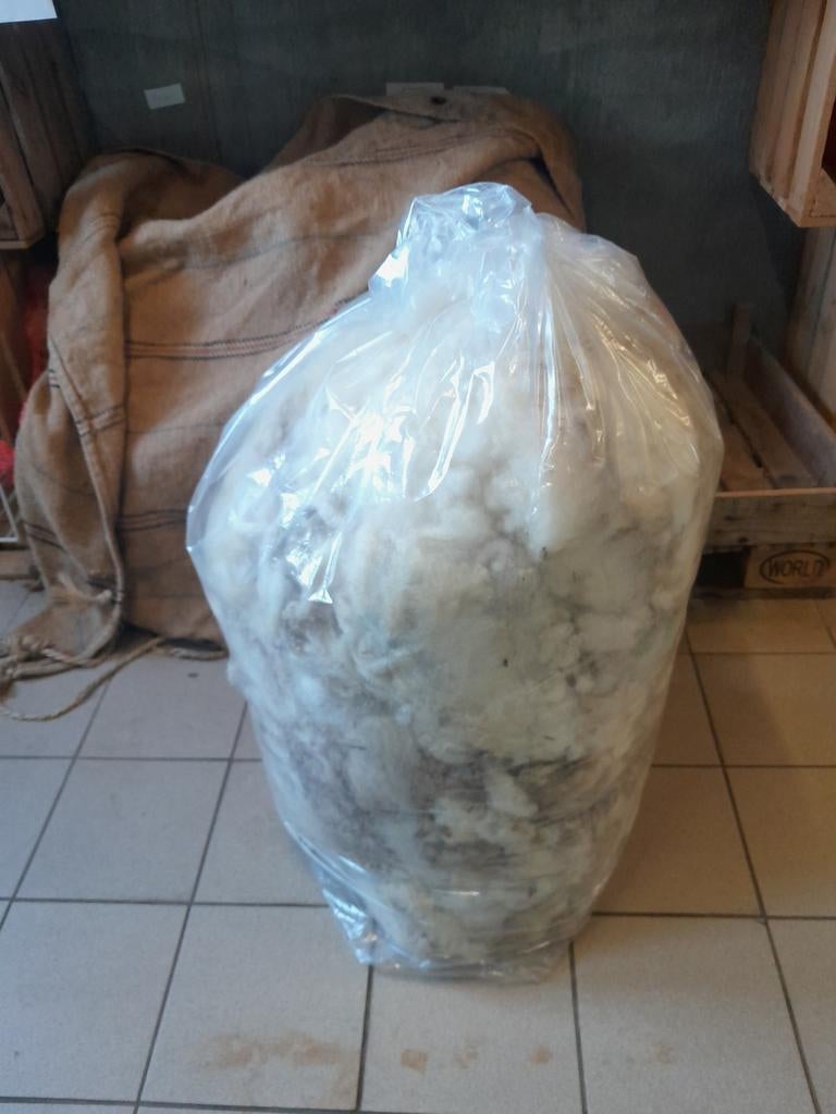 Wol witte schapenwol, Ophalen, Nieuw