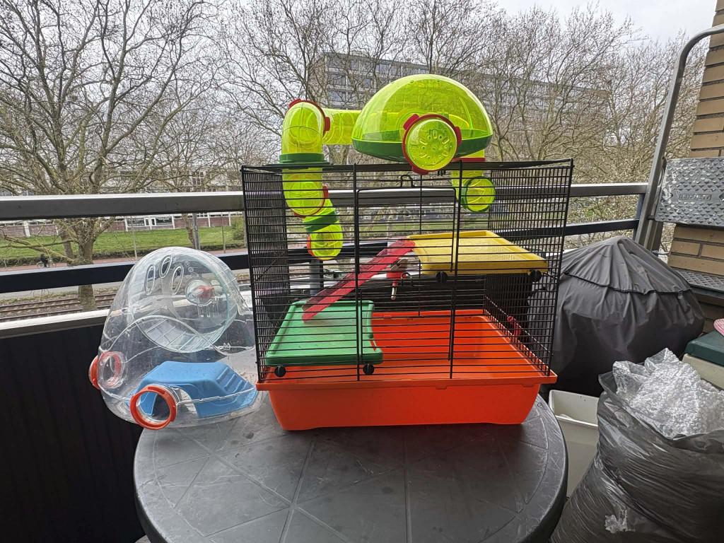 Rattenkooi/Caviakkoi met accesories, Kooi, Gebruikt, Minder dan 75 cm, Muis