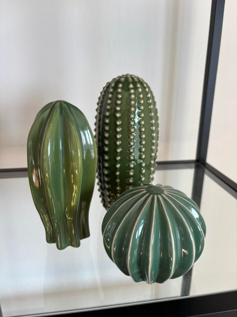 Cactus beeldjes van ikea, Ophalen, Cactus, Volle zon, Minder dan 100 cm