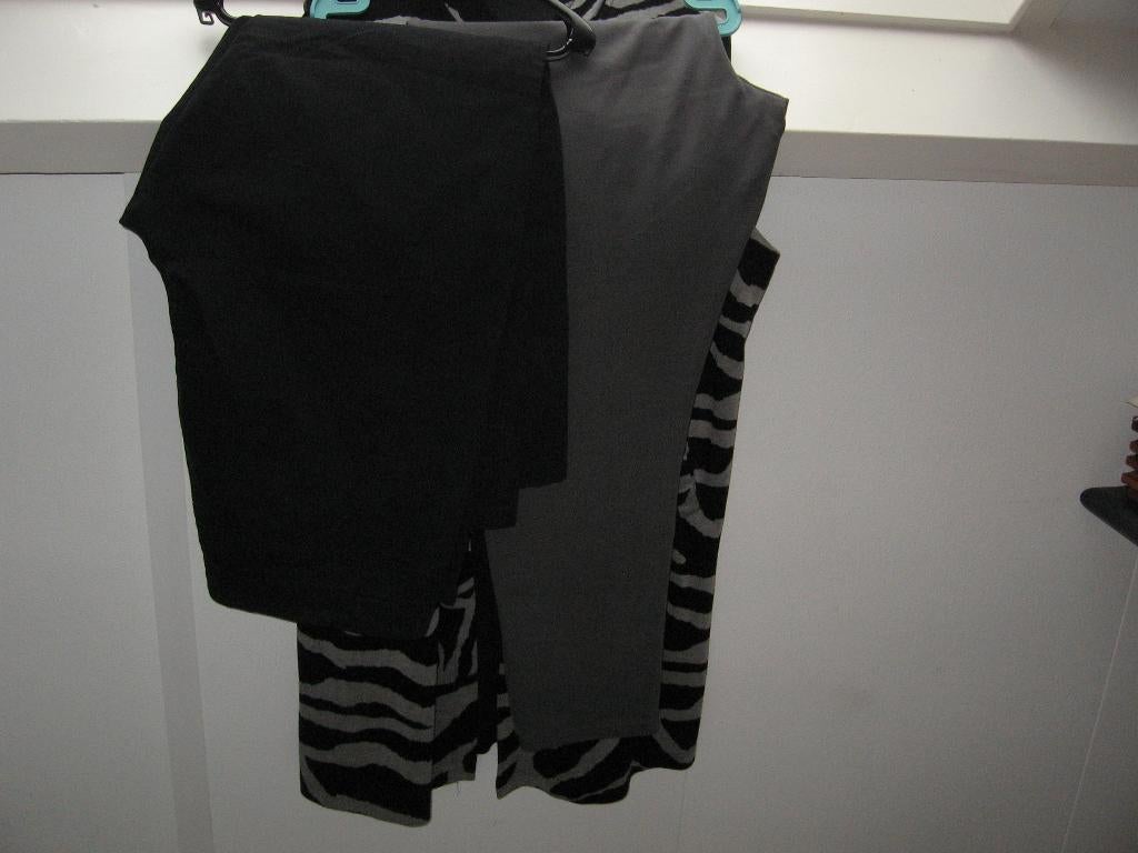 3 dl set samen €25,- 50 2 broeken + mouwloos lange jas vest, Kleding | Dames, Grote Maten, Ophalen of Verzenden, Nieuw, Grijs