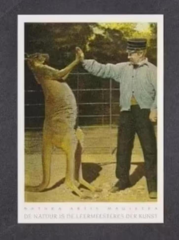 Amsterdam Artis Dierentuin Kangoeroe Dierenverzorger., Ophalen of Verzenden, 1980 tot heden, Ongelopen, Noord-Holland