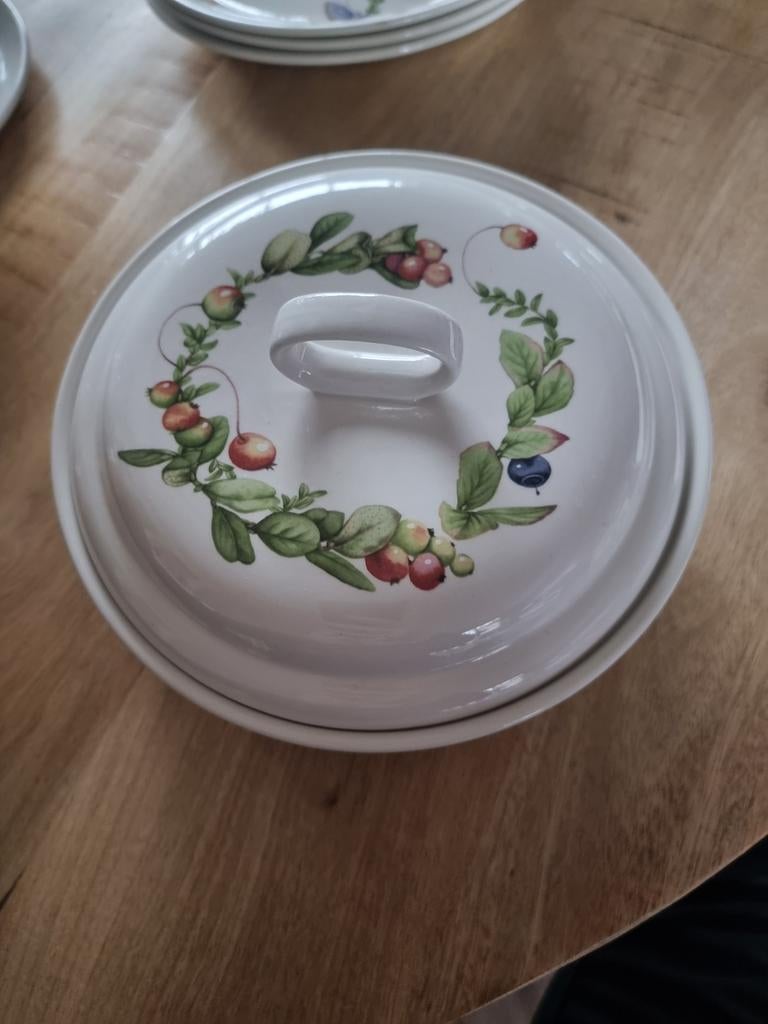 Ovenschaal met deksel Marjolein Bastin, Ophalen