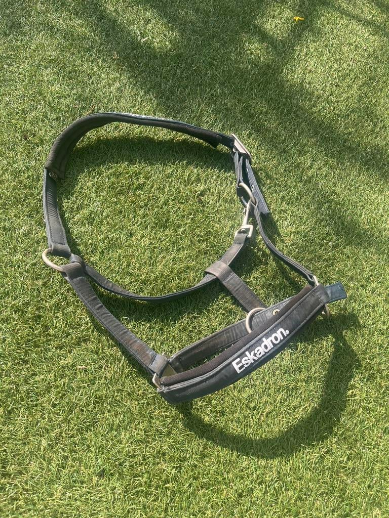 Eskadron halster, Ophalen of Verzenden, Zo goed als nieuw, Overige soorten