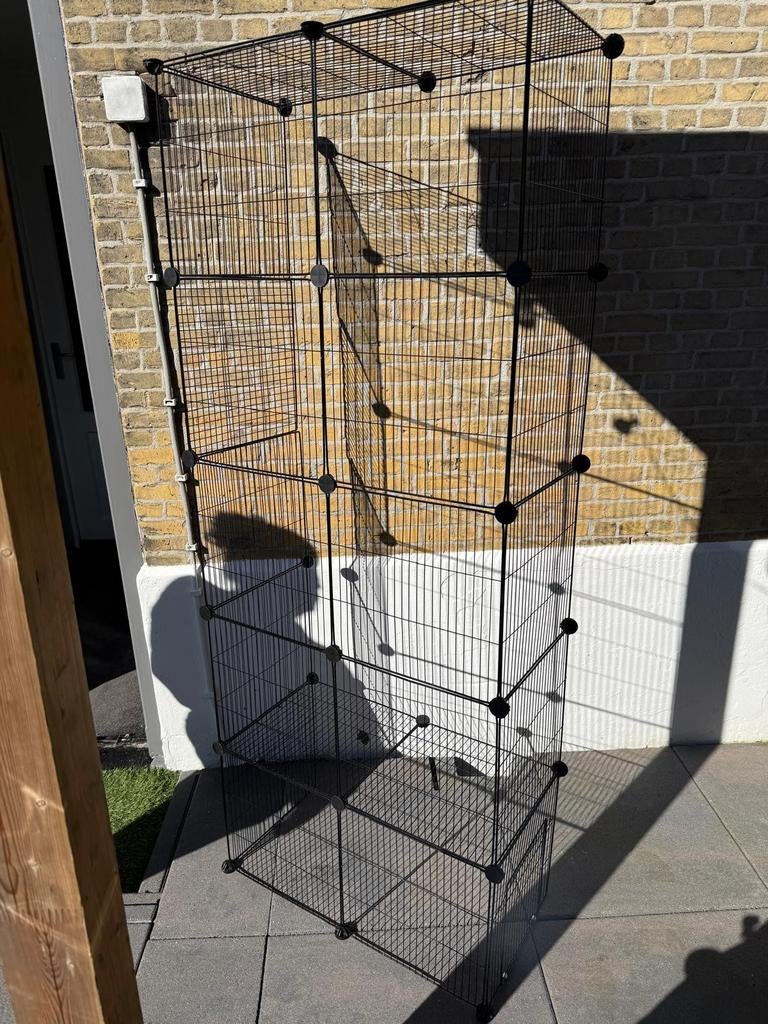 Kitten katten ren, Ophalen