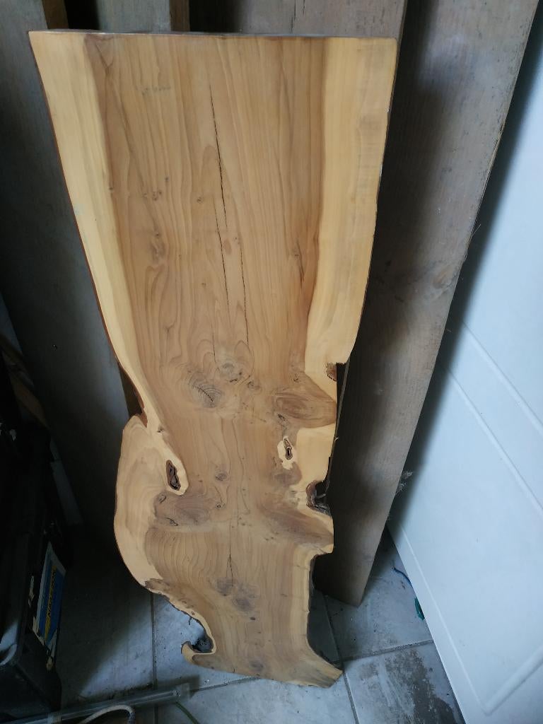 taxus plank, 25 tot 50 mm, Nieuw, Ophalen of Verzenden, Plank