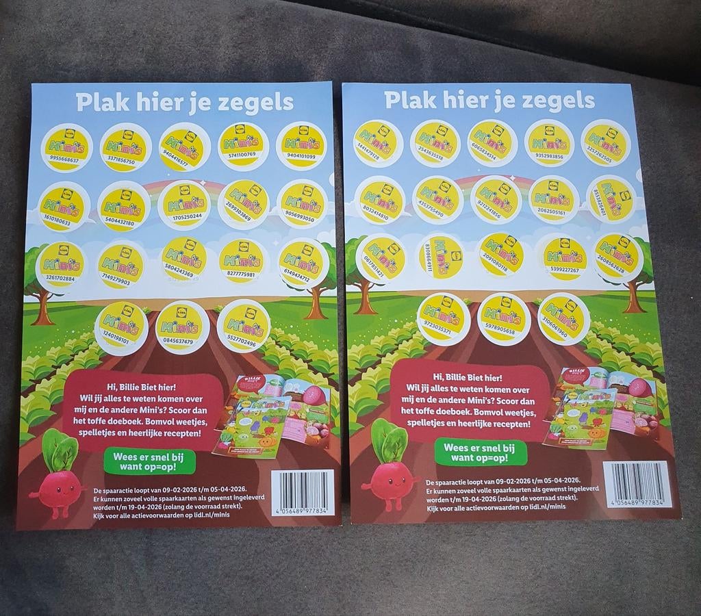 2 volle spaarkaarten Lidl mini's, Ophalen of Verzenden, Nieuw