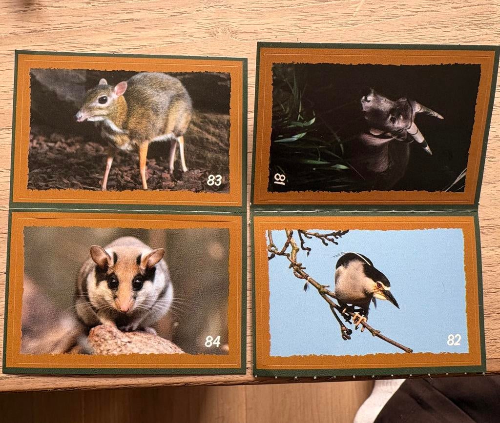 Deka Artis stickers - Verborgen Parels, Ophalen, 1980 tot heden