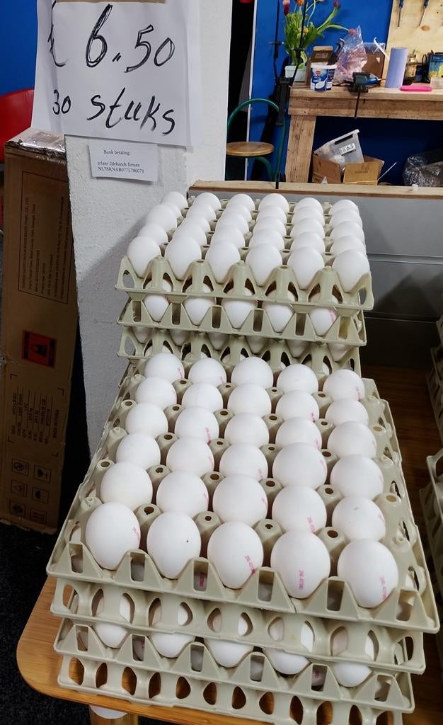 Verse eieren te koop 30 stuks 6.50 euro, Ophalen of Verzenden, Overige typen