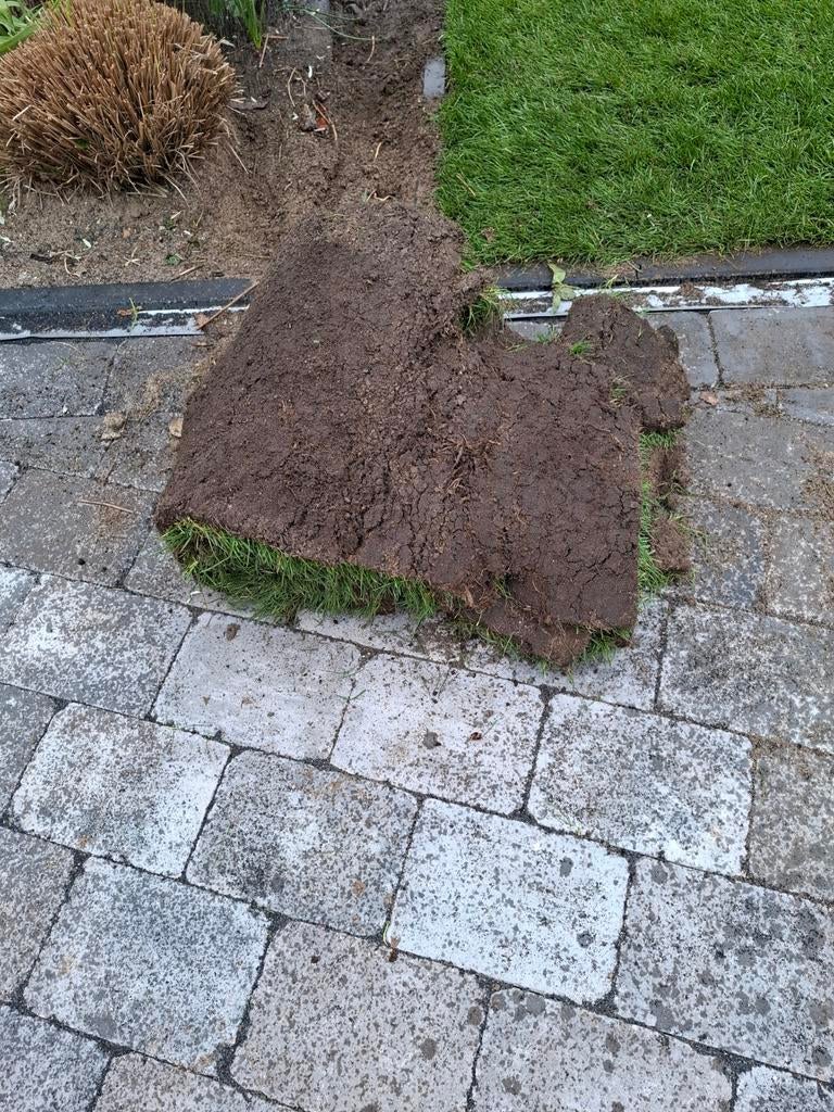 Gratis graszoden 1m2, Tuin en Terras, Gras en Kunstgras, Ophalen, Nieuw, Minder dan 10 m²