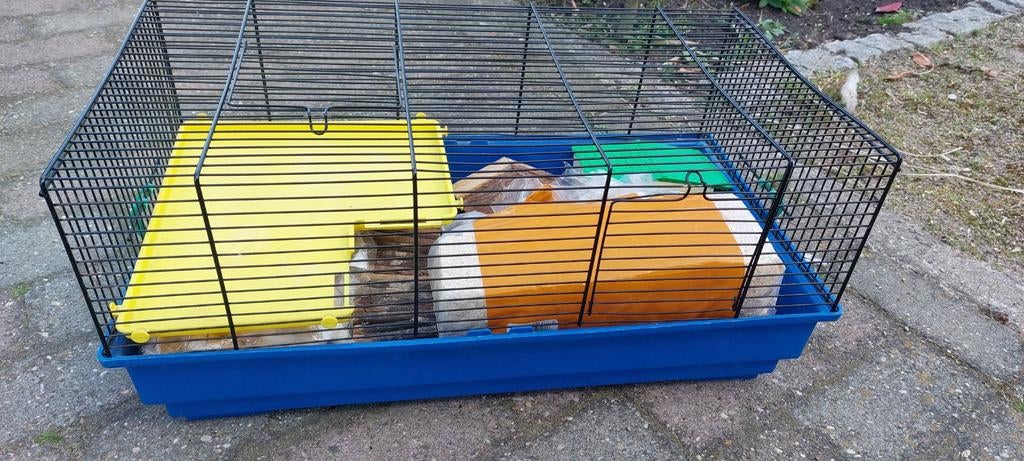 Hamsterkooi en toebehoren, Dieren en Toebehoren, Kooi, Gebruikt, Minder dan 75 cm, Ophalen