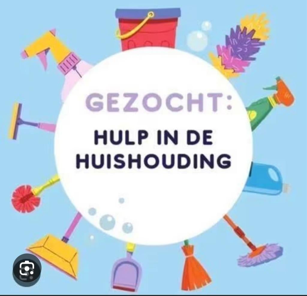 Schoonmakster aangeboden, Vanaf 10 jaar, Overige vormen