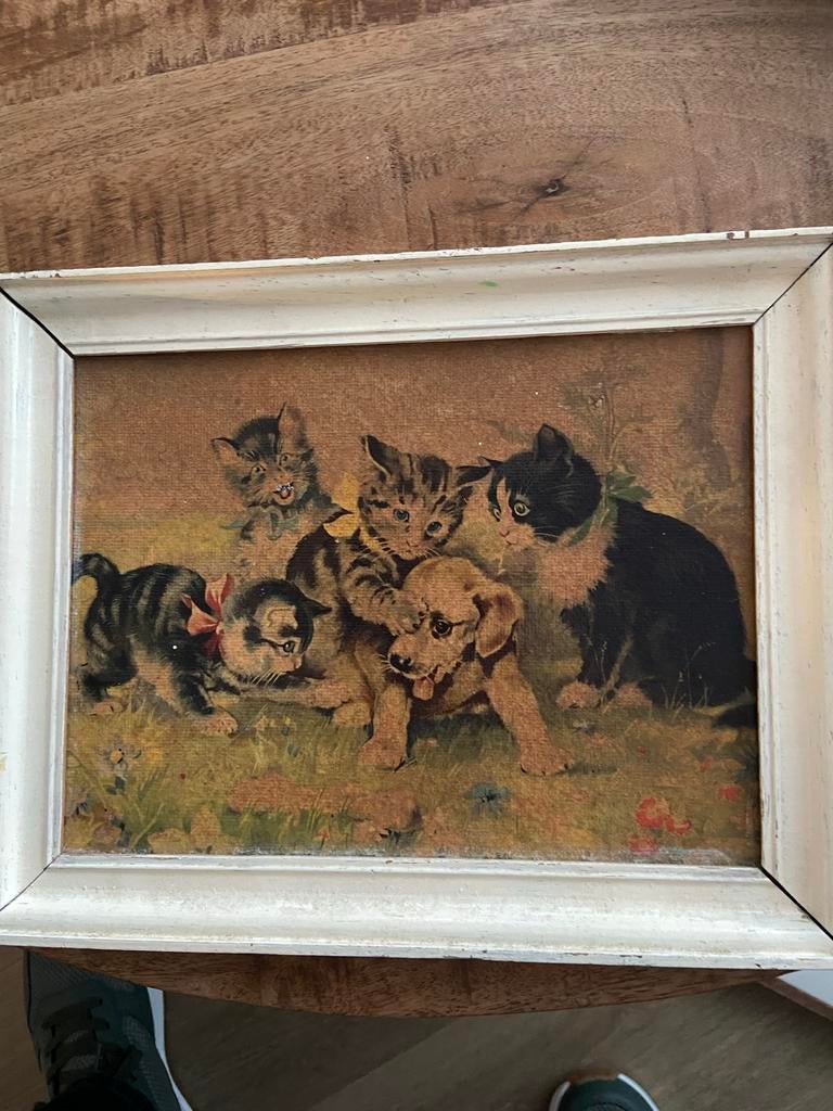 Henriëtte Ronner Knip - Kittens bij het spel, reproductie, Ophalen of Verzenden