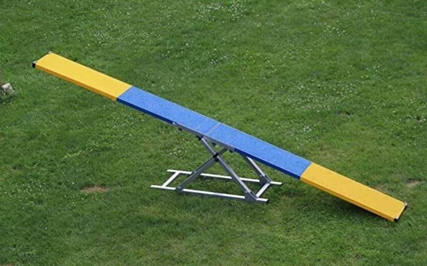 Agility Wip Training Hondensport Behendigheid Hondentraining