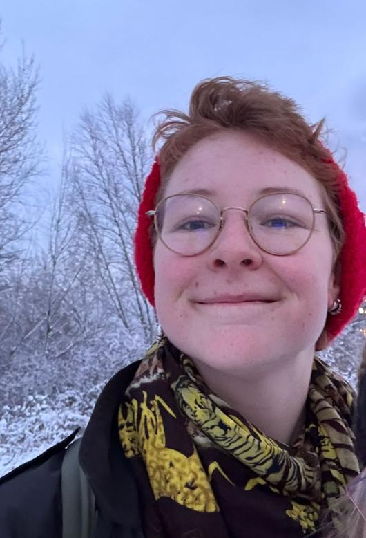 Laagdrempelige en persoonlijke bijles HAVO & VWO, Privéles, Bijles