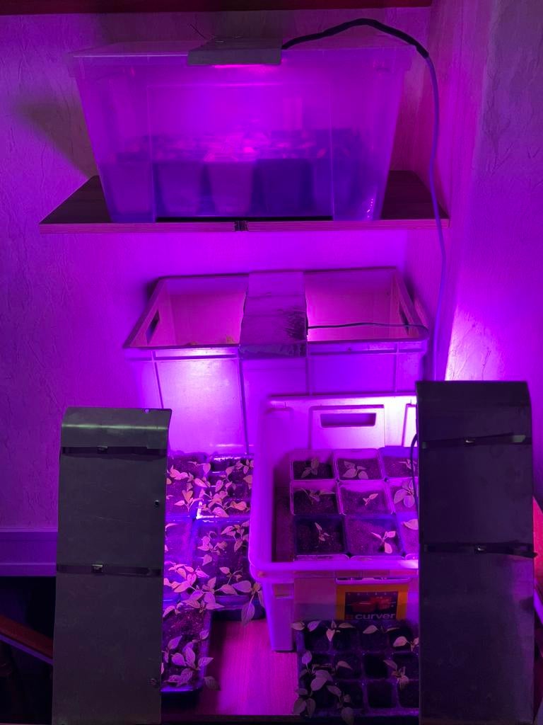 2 x Groeilamp kweeklamp, Ophalen of Verzenden, Zo goed als nieuw, Kweeklamp