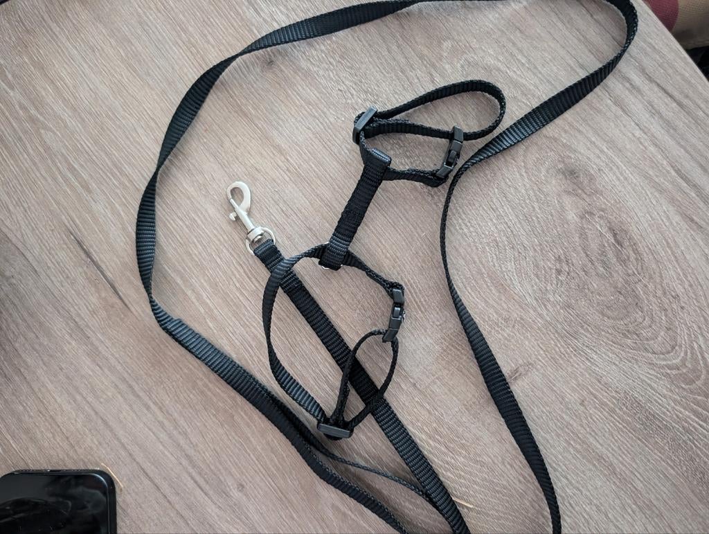 Kitten tuigje helemaal nieuw, Dieren en Toebehoren, Ophalen of Verzenden, Nieuw