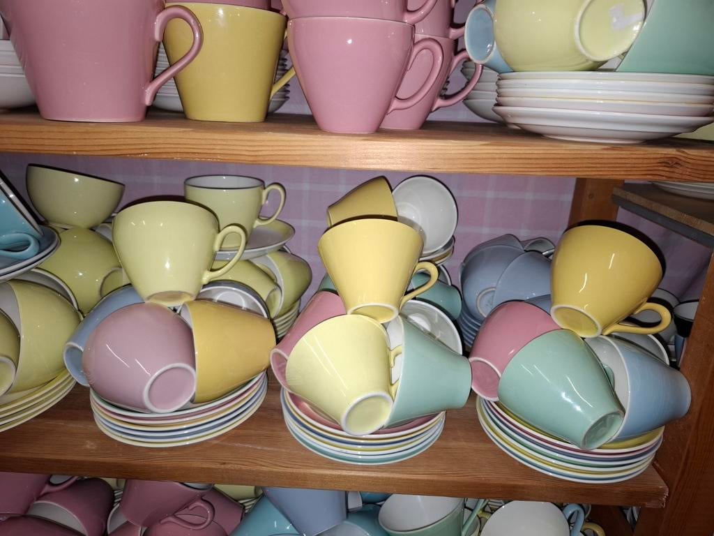 Groot aanbod pastel servies van P Regout/Royal Sphinx Maastr, Ophalen