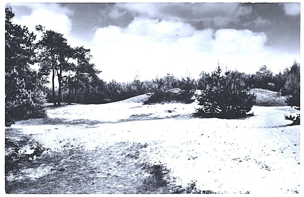 963763	Heeswijk	N B Bungalowpark	Wildhorst	Gelopen met zegel, Ophalen of Verzenden, 1960 tot 1980, Gelopen, Noord-Brabant