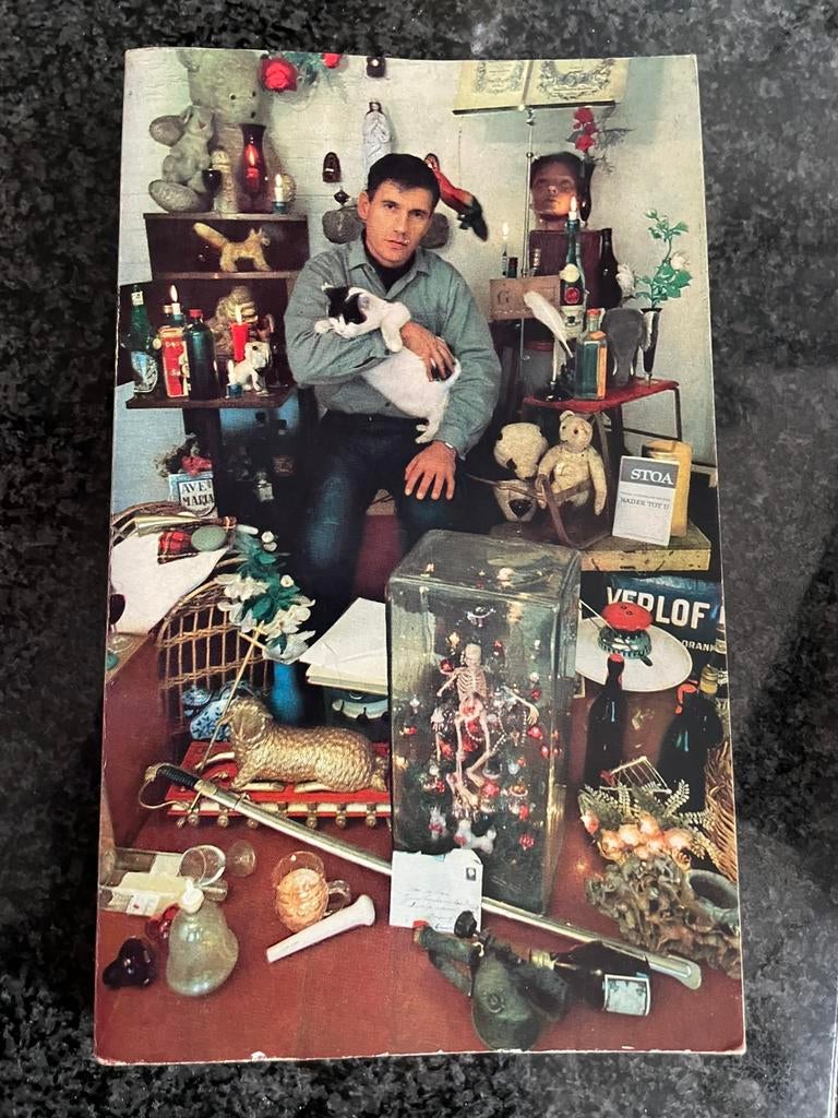 Op weg naar het einde / Gerard Kornelis van het Reve, Boeken, Ophalen of Verzenden, Zo goed als nieuw