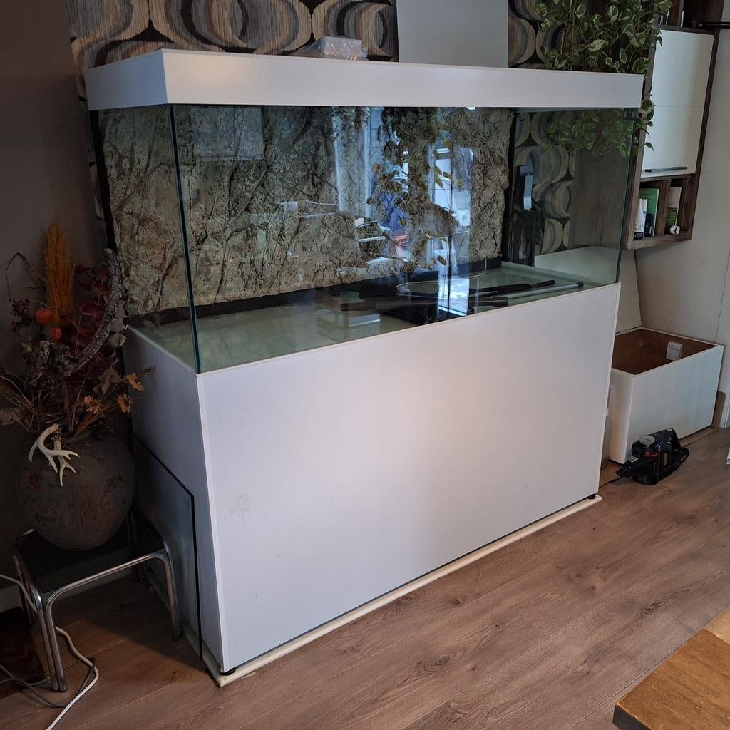 Groot Aquarium wit 160x70x60, Ophalen