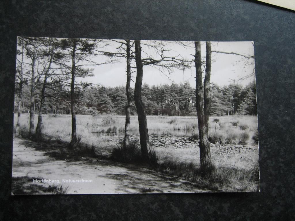 MARIENBERG Natuurschoon 1967, Ophalen of Verzenden, 1960 tot 1980, Overijssel