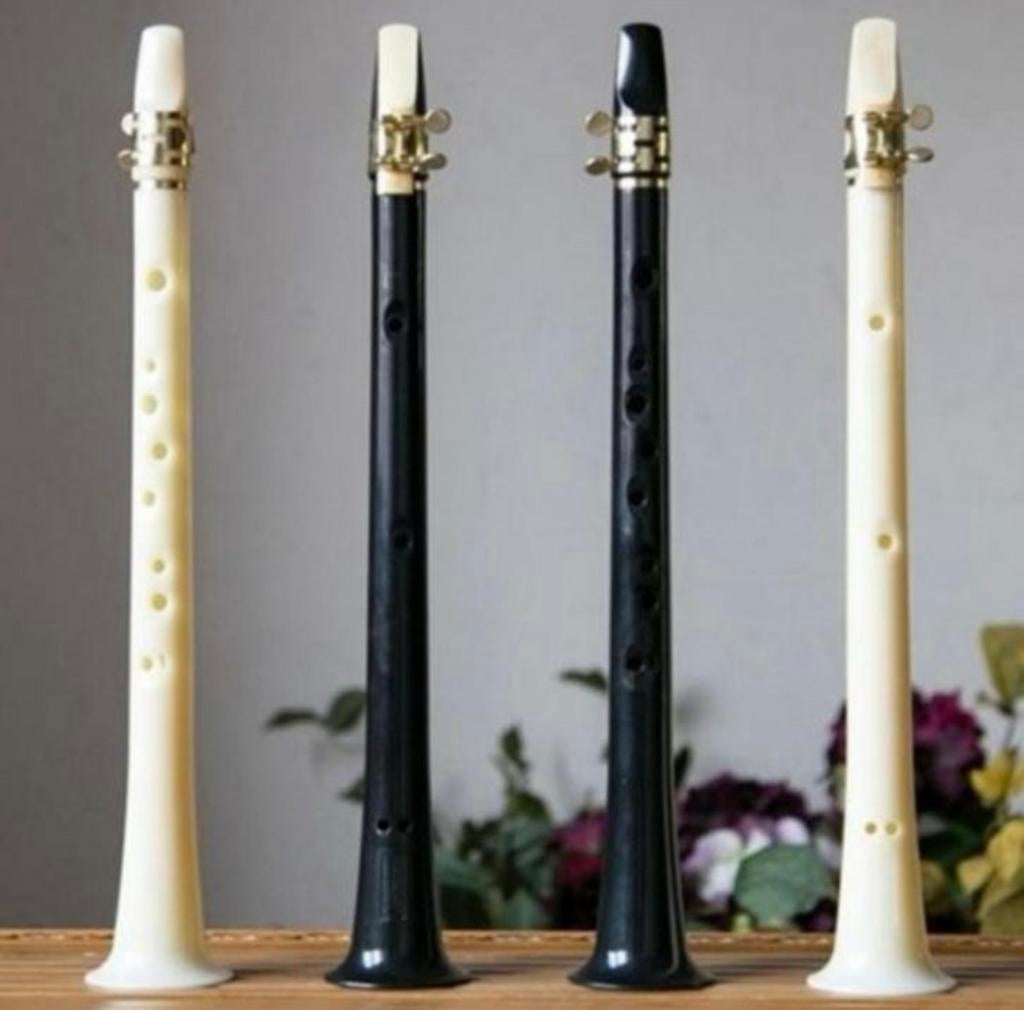 Mini Saxofoon Zwart & Wit - Blaasinstrument Reissaxofoon, Verzenden, Nieuw