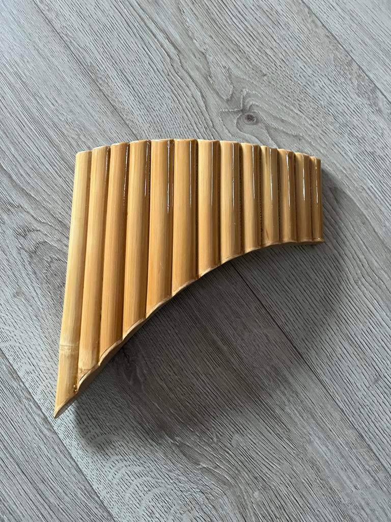 Ton Jansen Panfluit 13 Pijps, Muziek en Instrumenten, Ophalen of Verzenden, Nieuw, Overige soorten